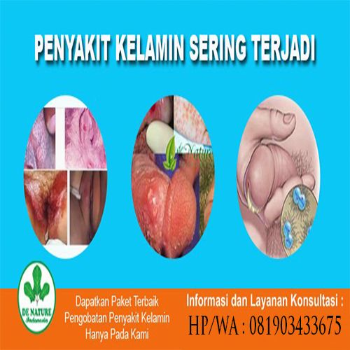 Pin Di Obat Sipilis De Nature