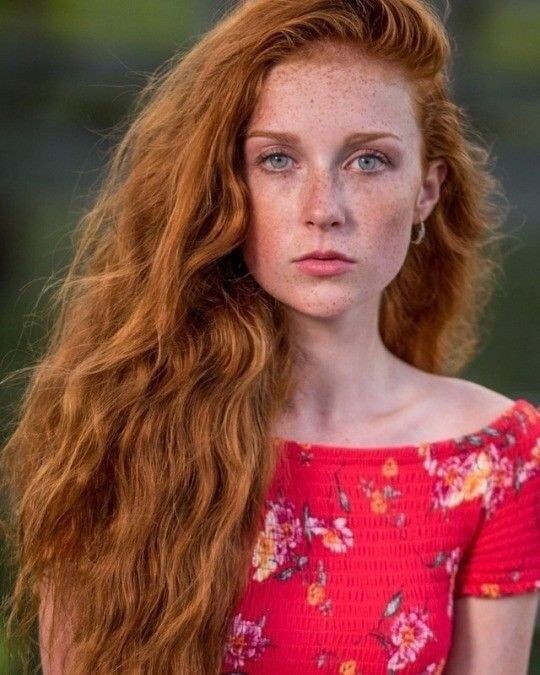 firey bush redhead Firey bush redhead