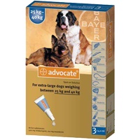 Best Tick Treatment For Dogs Uk Best Tick Treatment For Dogs Uk