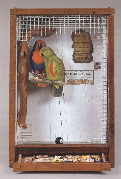Joseph Cornell Birds Joseph Cornell Birds
