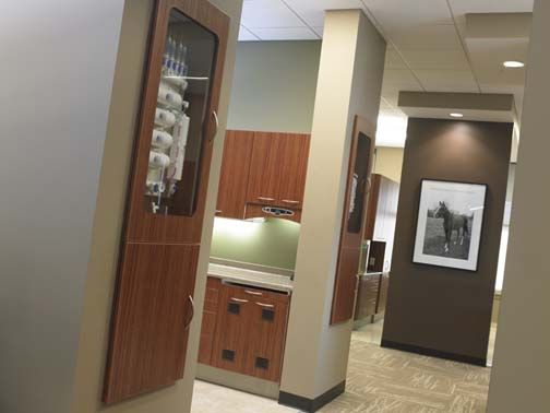 65 best dental office decor images on pinterest | office designs 65 best dental office decor images on pinterest | office designs