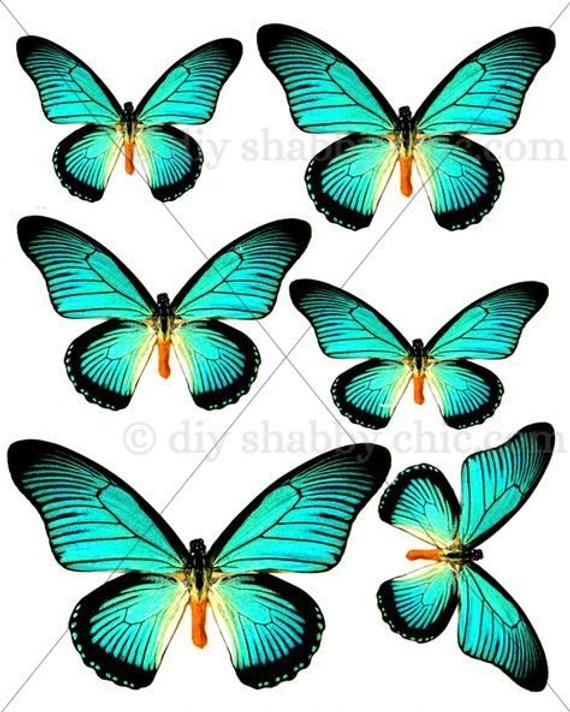 Waterslide Decal Vintage Image Transfer Rainbow Butterfly Upcycle Shabby Chic Waterslide Decal Vintage Image Transfer Rainbow Butterfly Upcycle Shabby Chic