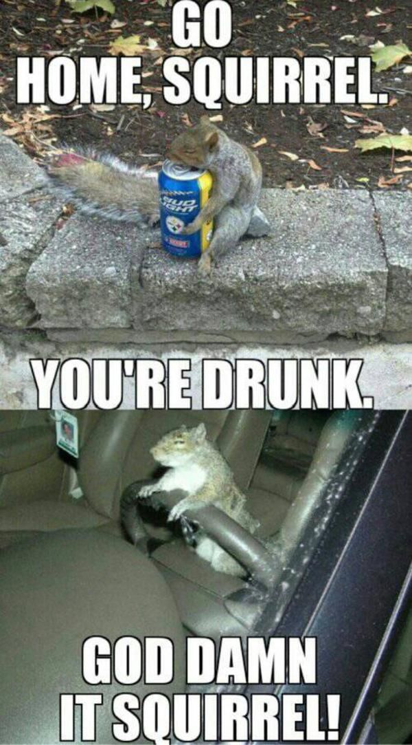 21 best go home you're drunk images on pinterest funny shit f8f7ce554cb1d1273ed57c6d3d3fdaf7 drunk memes funny memes 21 best go home you're drunk images on pinterest funny shit,Go Home Bessie You Re Drunk Meme