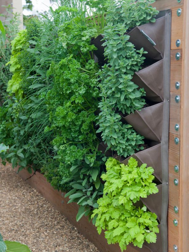 Living Wall best 25+ living walls ideas on pinterest | wall gardens, vertical Living Wall best 25+ living walls ideas on pinterest | wall gardens, vertical