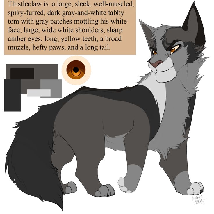 Warrior Cats Snow Pelt X Thistleclaw Warrior Cats Snow Pelt X Thistleclaw