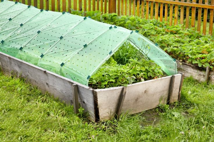 Folie Garten Folien-Tunnel Komplett-Set XL - Folien & Vliese - WINDHAGER | Hochbeet
