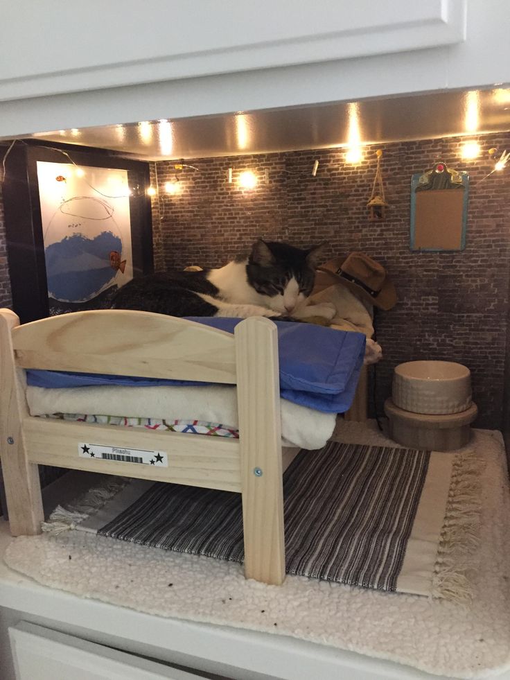 Apartment Room Mate best 25+ looking for roommate ideas on pinterest | find a roomate Apartment Room Mate best 25+ looking for roommate ideas on pinterest | find a roomate