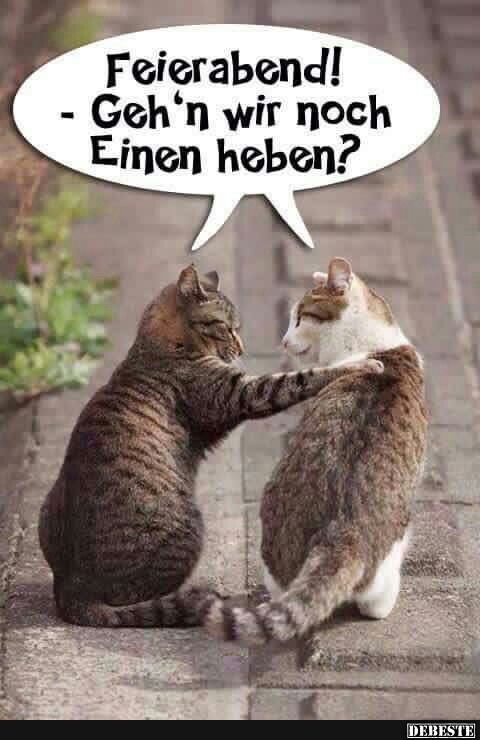 Endlich Feierabend Sprüche Endlich Feierabend Sprüche