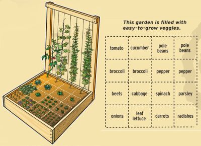 Vegetable Garden Ideas Diy indoor vegetable garden ideas - creditrestore Vegetable Garden Ideas Diy indoor vegetable garden ideas - creditrestore