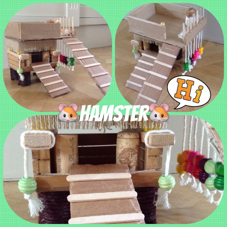34 best for the hamster images on Pinterest | Hamster stuff ... 34 best for the hamster images on Pinterest | Hamster stuff ...