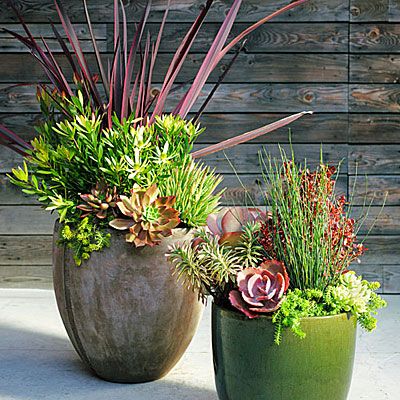 Best 25 Succulent containers ideas on Pinterest Best 25 Succulent containers ideas on Pinterest