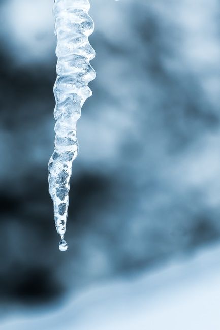 New Free Stock Photo Of Cold Snow Winter Download It On Pexels New Free Stock Photo Of Cold Snow Winter Download It On Pexels