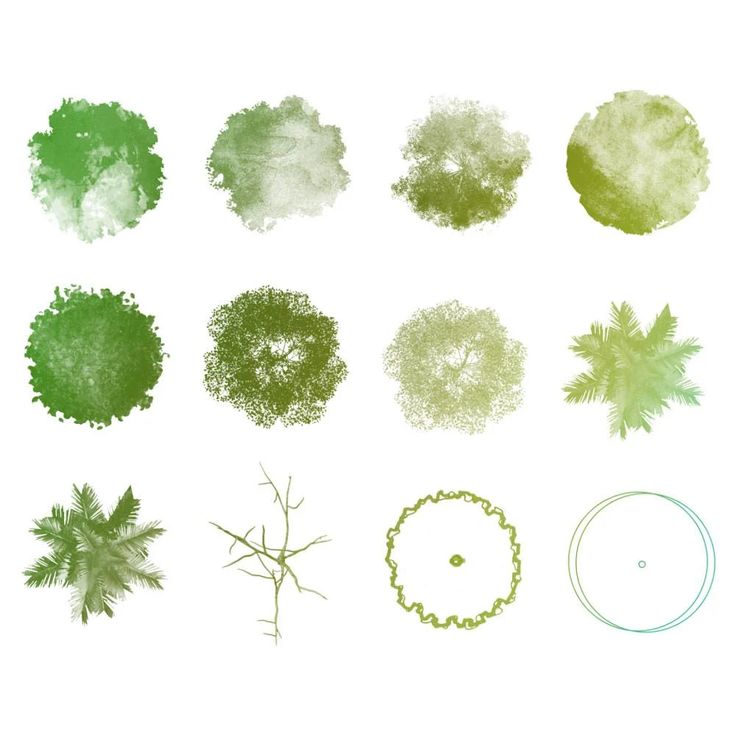 photoshop tree brushes plan photoshop tree brushes plan