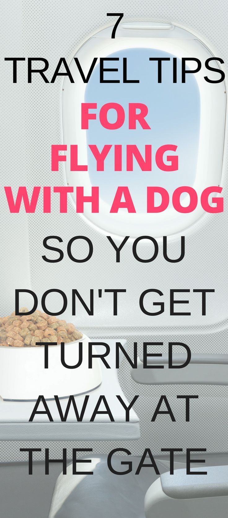 flying with a pug in cabin 442 best schnauzers images on schnauzers miniature schnauzer and animals flying with a pug in cabin 442 best schnauzers images on schnauzers miniature schnauzer and animals