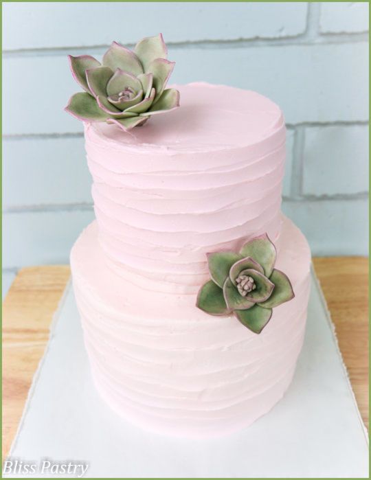 A Sweet And Simple Rustic Iced Buttercream Wedding Cake With Gumpaste Succulents A Sweet And Simple Rustic Iced Buttercream Wedding Cake With Gumpaste Succulents