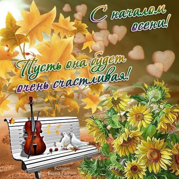 Марта, картинки поздравления с осенью с 1 сентября
