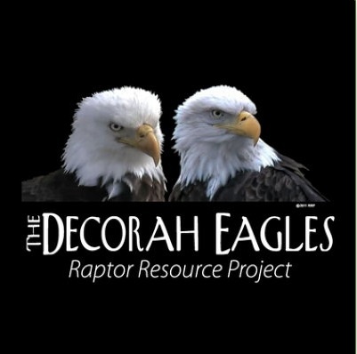 30 best the decorah eagles images on pinterest decorah 30 best the decorah eagles images on pinterest decorah