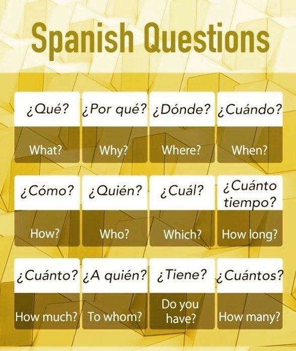 escribe la pregunta in spanish escribe la pregunta in spanish