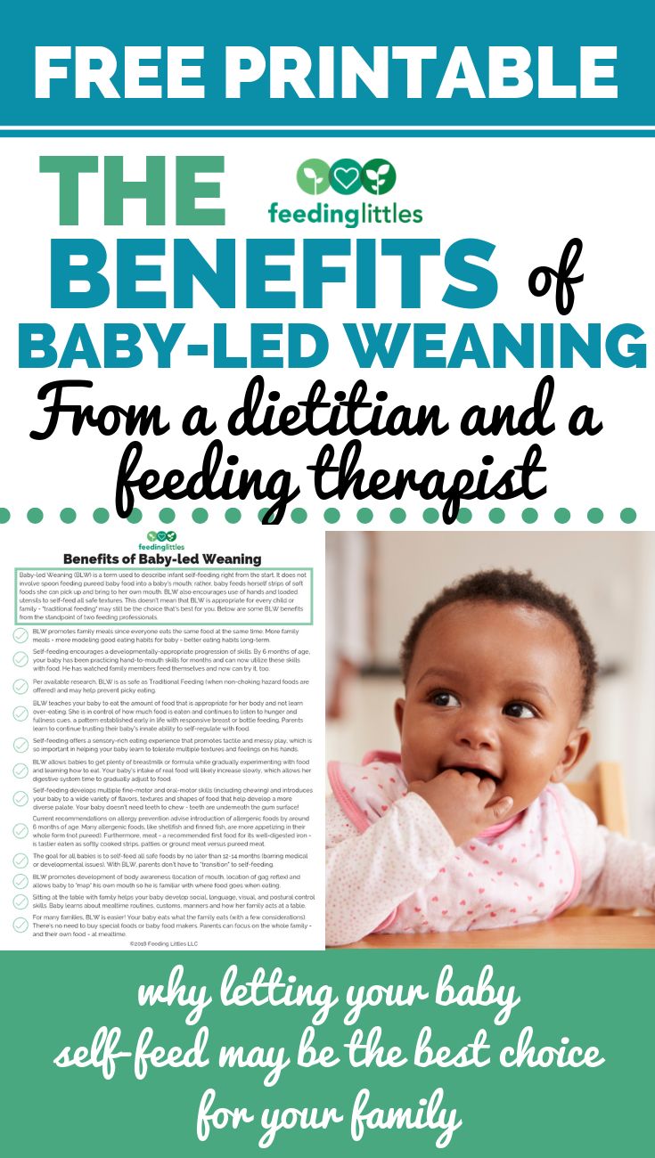 Our Favorite Proteins for Baby-led Weaning – Feeding Littles