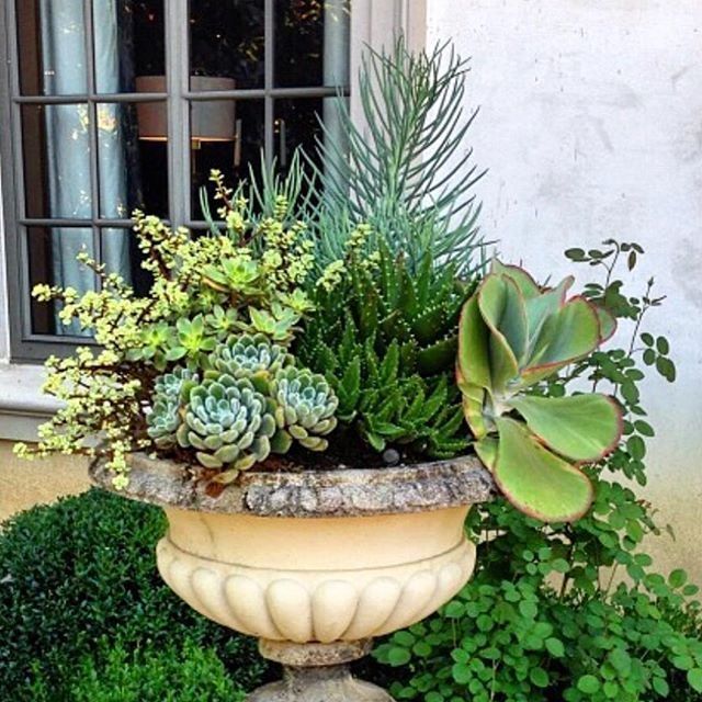 40 Lovely Indoor Succulent Garden Ideas For Summer Succulent garden