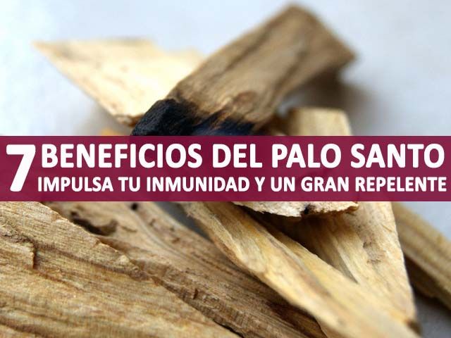 Pin En Vídeos