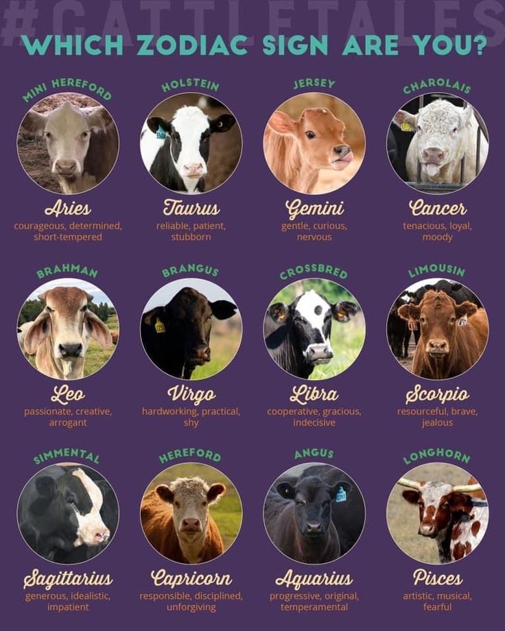 Pin by JAMIE GRANIER on FARM LIVIN’ | Zodiac signs animals, Zodiac