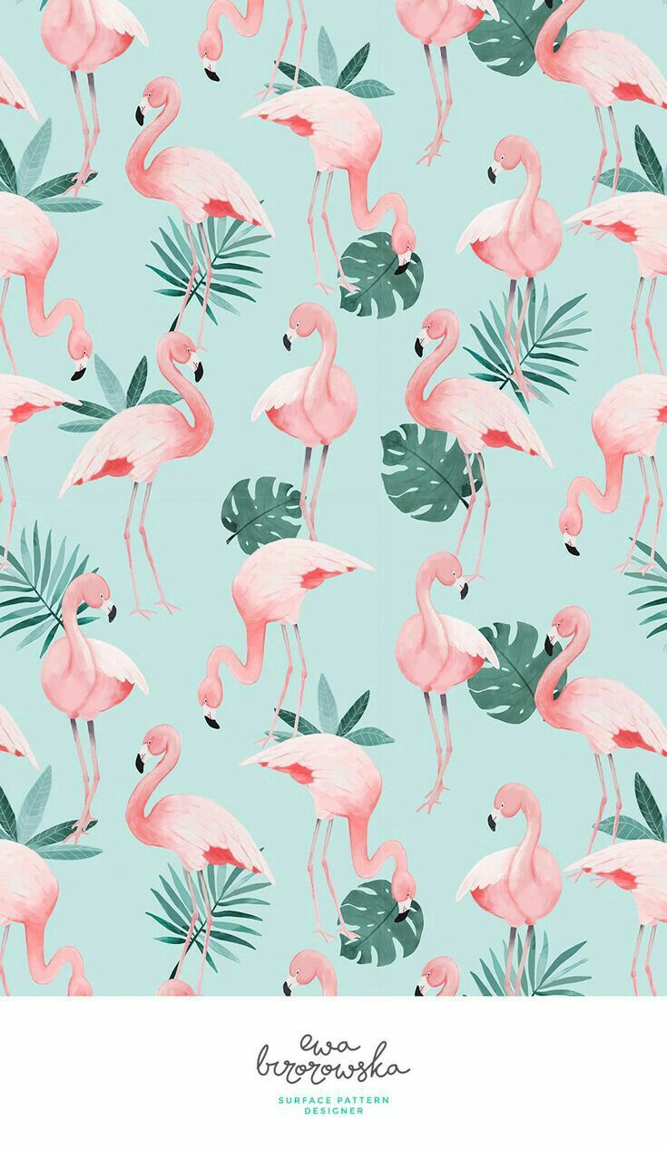 Unduh 200 Wallpaper Dinding Flamingo HD Paling Keren Unduh 200 Wallpaper Dinding Flamingo HD Paling Keren