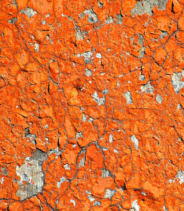 Orange Paint 222 best grandin road color crush images on pinterest | burnt Orange Paint 222 best grandin road color crush images on pinterest | burnt