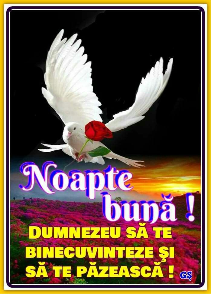 conectează-te pentru o noapte dating sogn og fjordane