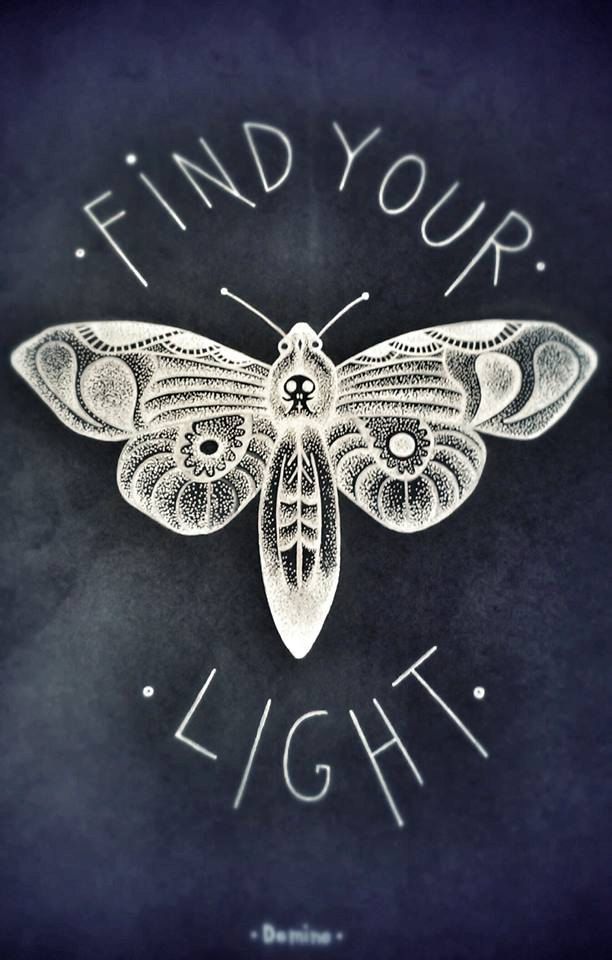 best 25 skull moth ideas on pinterest moth deaths head moth best 25 skull moth ideas on pinterest moth deaths head moth