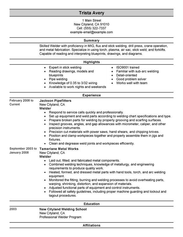 7 best Perfect Resume Examples images on Pinterest Resume examples