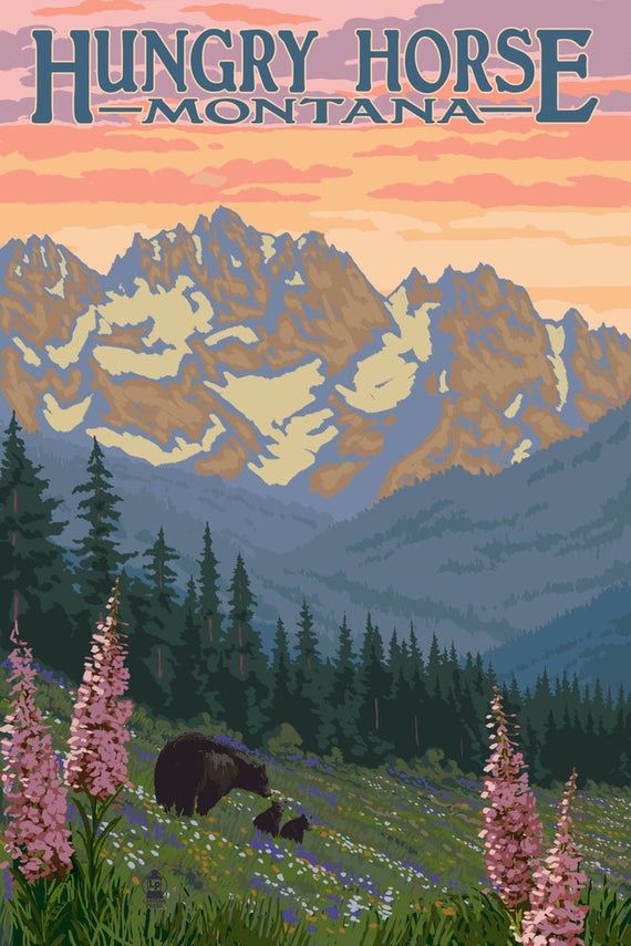 Elk and Mountains Estes Park Colorado 16x24 Gallery Wrapped Stretched Canvas