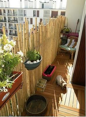 best 25+ balcony privacy ideas on pinterest | balcony curtains ... - Patio Privacy Ideas For Apartment best 25+ balcony privacy ideas on pinterest | balcony curtains ... - Patio Privacy Ideas For Apartment