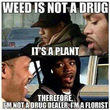1518 best random images on pinterest funny memes, funny pics and fa260cacf5c5a660276e09f69d324763 haha funny hilarious stuff 1518 best random images on pinterest funny memes, funny pics and,Funny Adult Memes