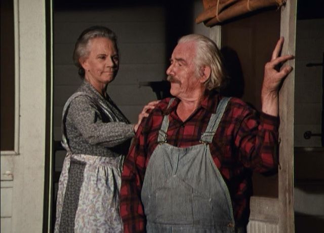 Did Grandma Walton Died On The Show Grandma and Grandpa | The waltons tv show, John boy, American actors