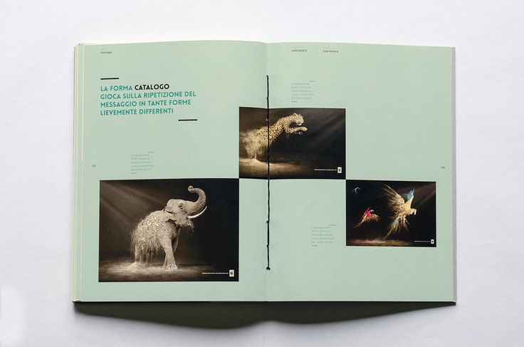 Bachelor degree dissertation