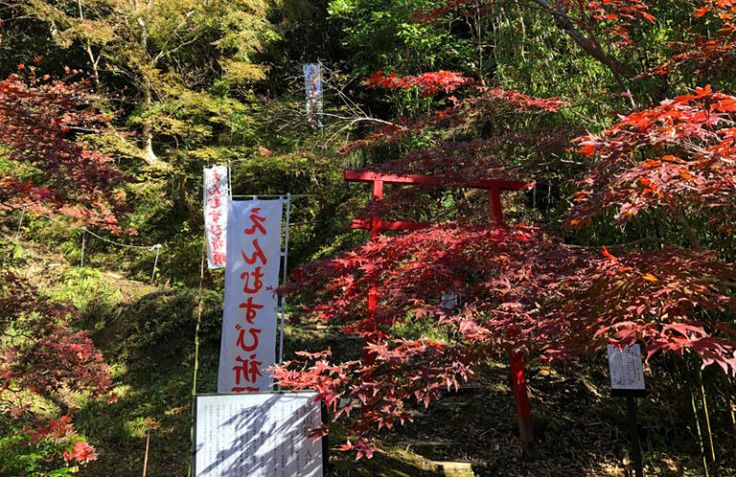 小松寺の縁結び 縁切りの神様 白山社 もみじ 房総 縁結び 小松寺の縁結び 縁切りの神様 白山社 もみじ 房総 縁結び