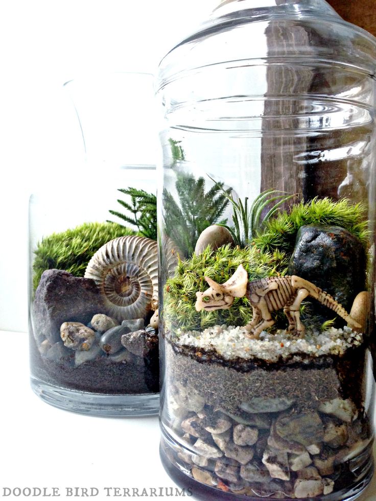 best 25+ dinosaur decorations ideas on pinterest | dinosaur party best 25+ dinosaur decorations ideas on pinterest | dinosaur party