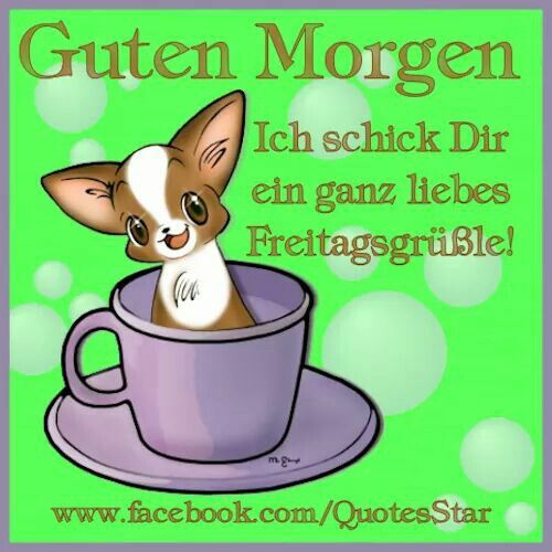 Sonntag morgen bilder lustig