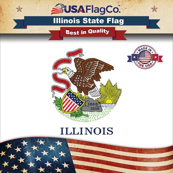 Illinois Flag In 2020 Flag States Capitals Illinois