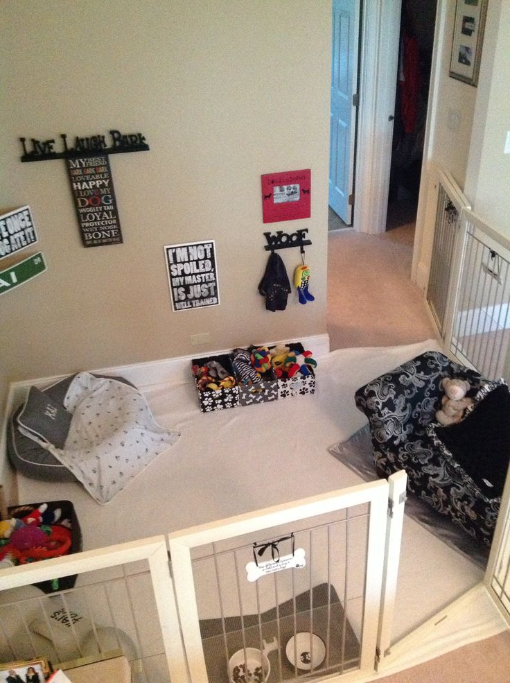 21 best pet room idea images on pinterest 21 best pet room idea images on pinterest