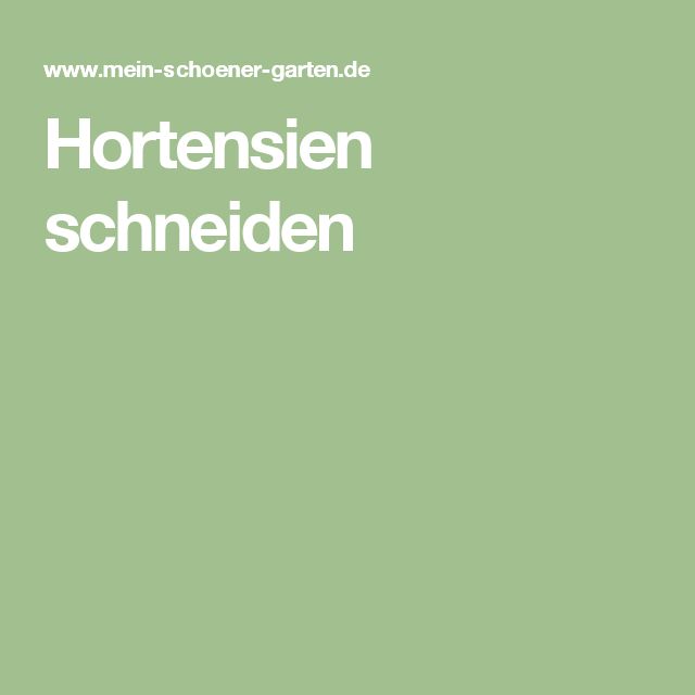 118 best Garten images on Pinterest Decks, Gardening and Apartment - gartenplanung beispiele kostenlos 118 best Garten images on Pinterest Decks, Gardening and Apartment - gartenplanung beispiele kostenlos