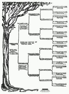 family tree formatting