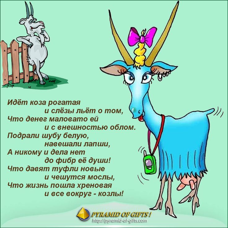 Смешное приколы в картинках и стихах, открытки для