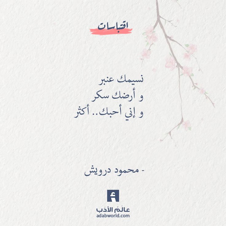 و إني أحبك أكثر محمود درويش عالم الأدب Words Quotes Wonder Quotes Quotations