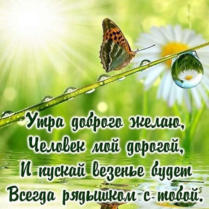 Доброе утро картинки новые летние гифки, болей