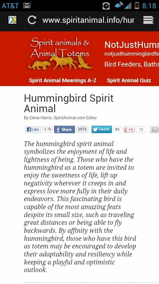 25 unique hummingbird tattoo meaning ideas on pinterest 25 unique hummingbird tattoo meaning ideas on pinterest