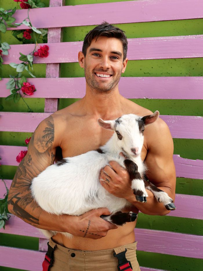 Australian Firefighters Animals Calendar 2021 Firefighter Calendar Injured Wildlife Firefighter irish fireman calendar 2021