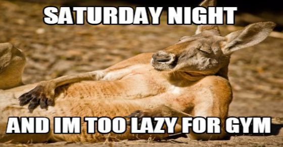 9 Pramuka Ideas Scout Funny Halloween Memes Unicorn Memes
