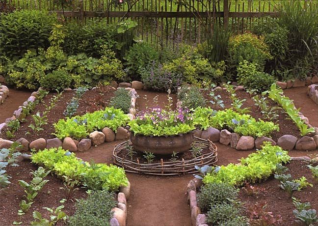 our aim is to promote economic community and environmental development in rural nicaragua vegetable garden - Simple Kitchen Garden our aim is to promote economic community and environmental development in rural nicaragua vegetable garden - Simple Kitchen Garden